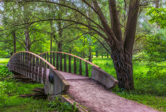 Guelph Arboretum