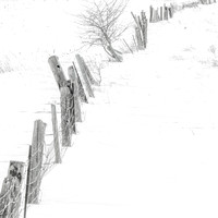 Winter Fence