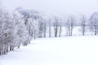 Winter Tin Soldiers